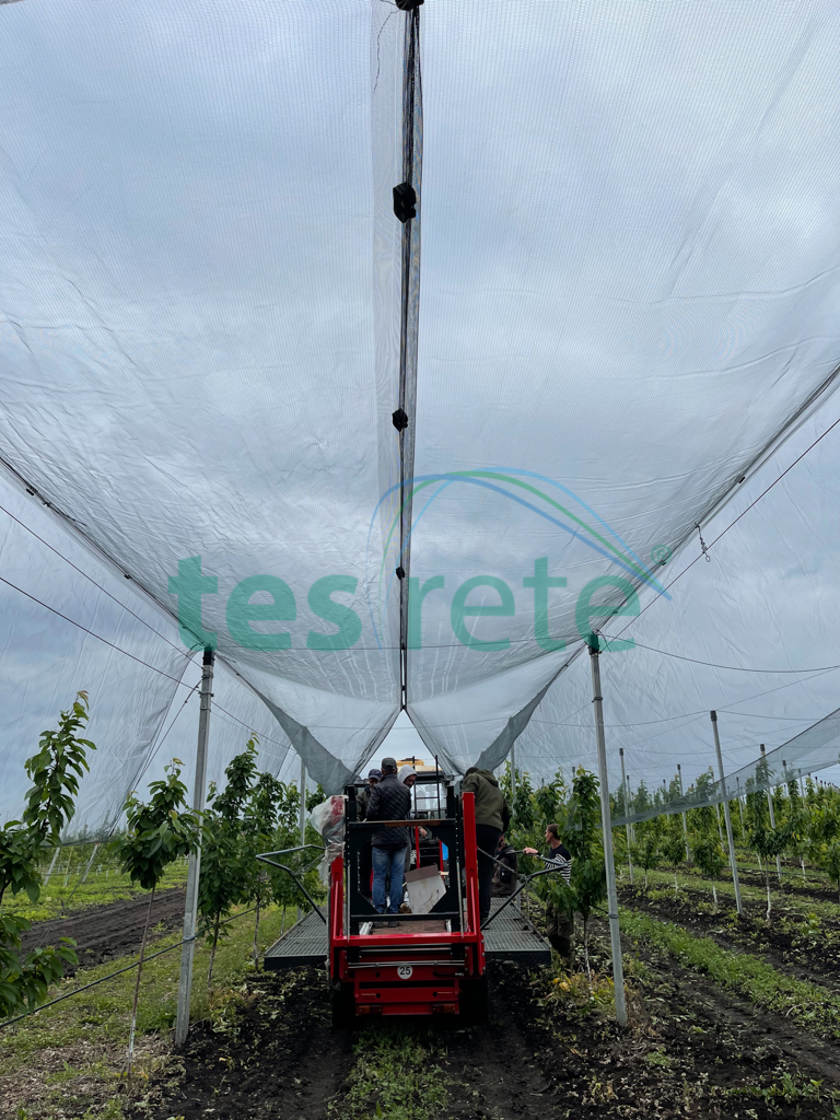 Tesrete – Tessitura per reti antigrandine e reti ombreggianti per orto  floro frutticoltura