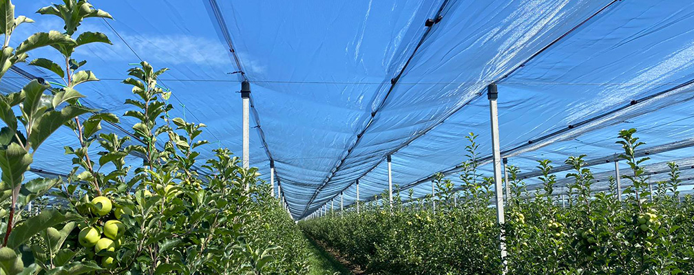Tesrete – Tessitura per reti antigrandine e reti ombreggianti per orto  floro frutticoltura